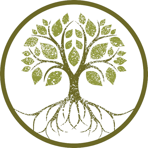Genealogia Portugal – arbre généalogique et racines